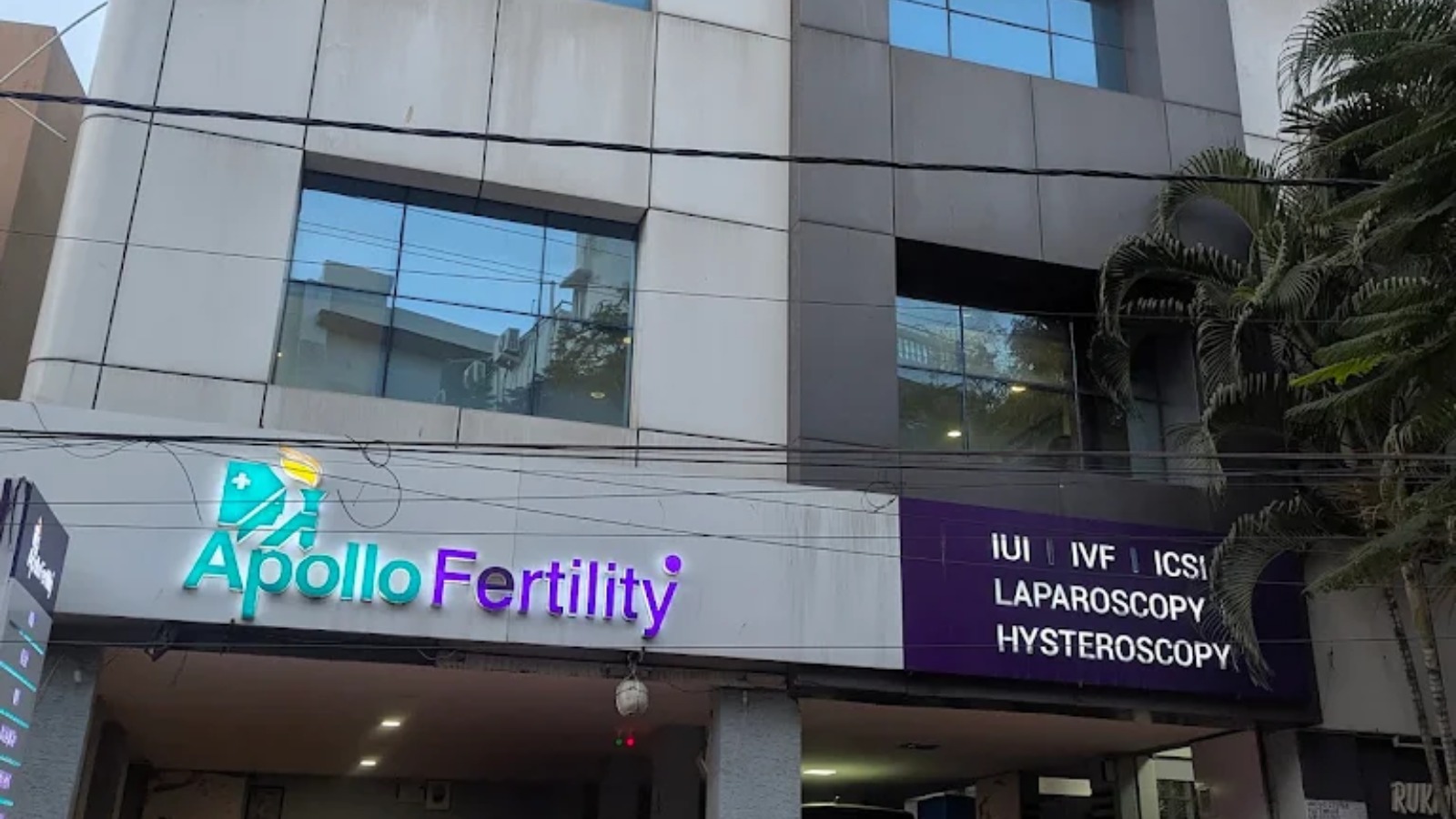 Apollo Fertility