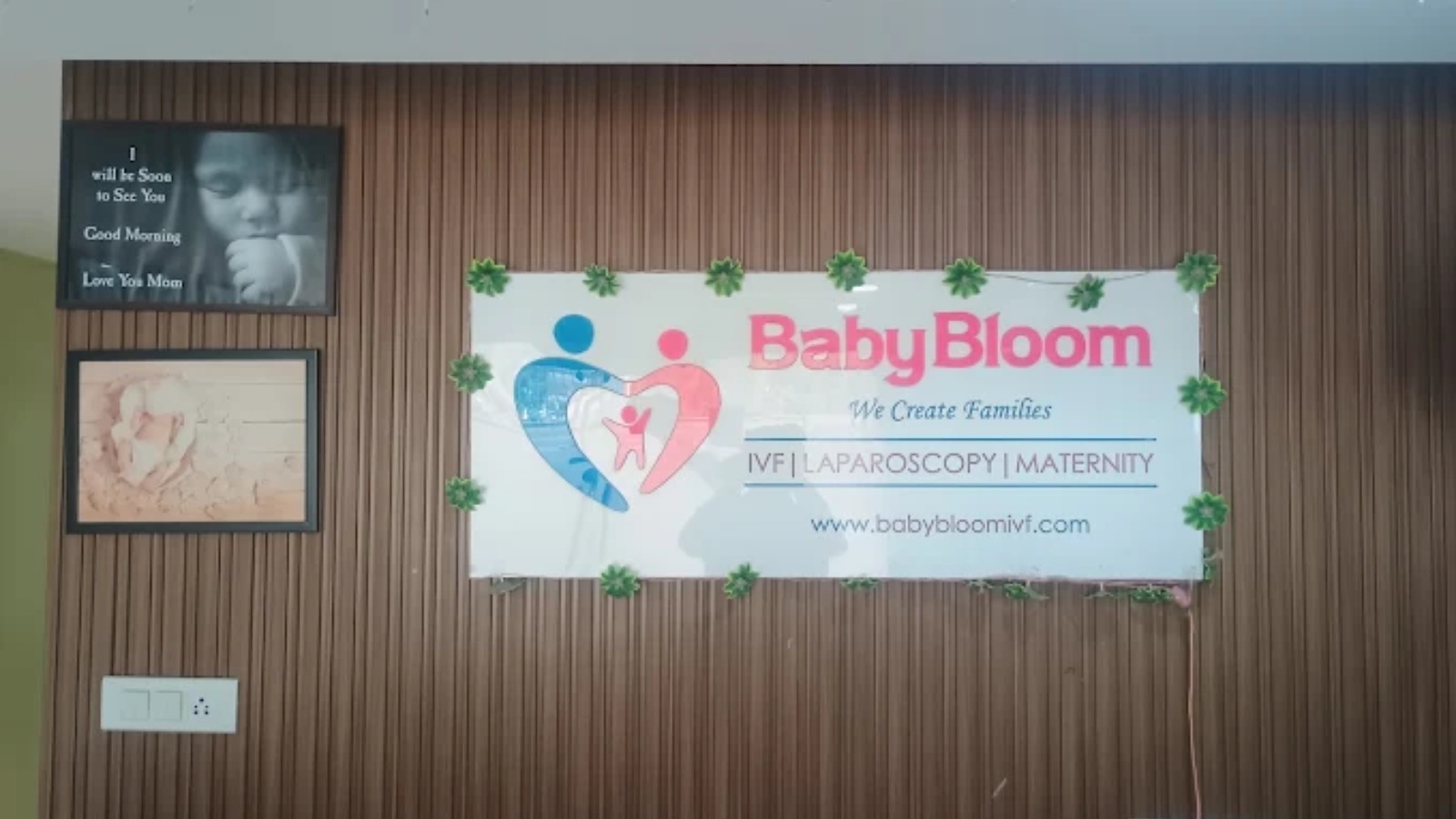 Babybloom IVF