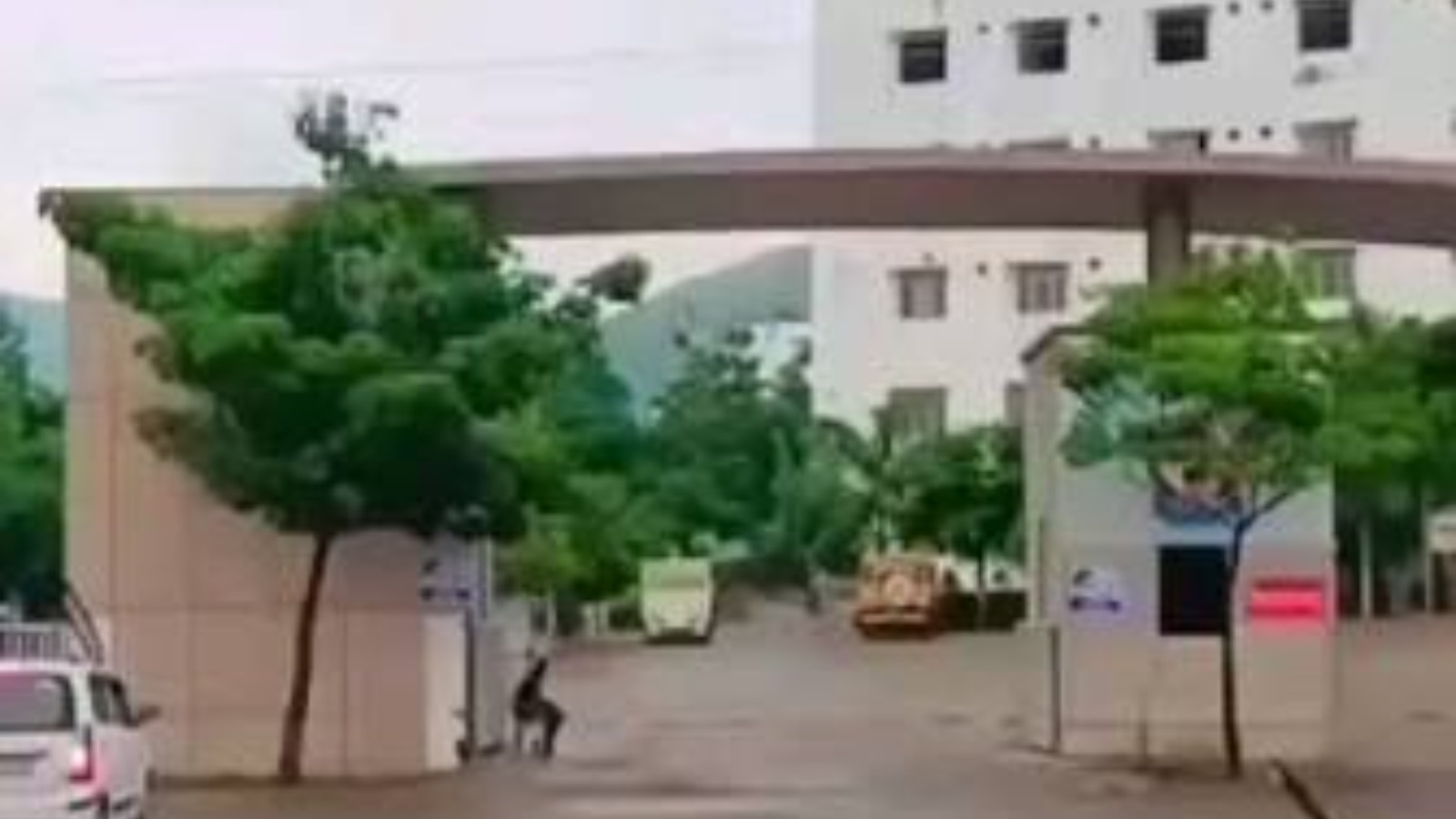 Pacific College of Paramedical Sciences