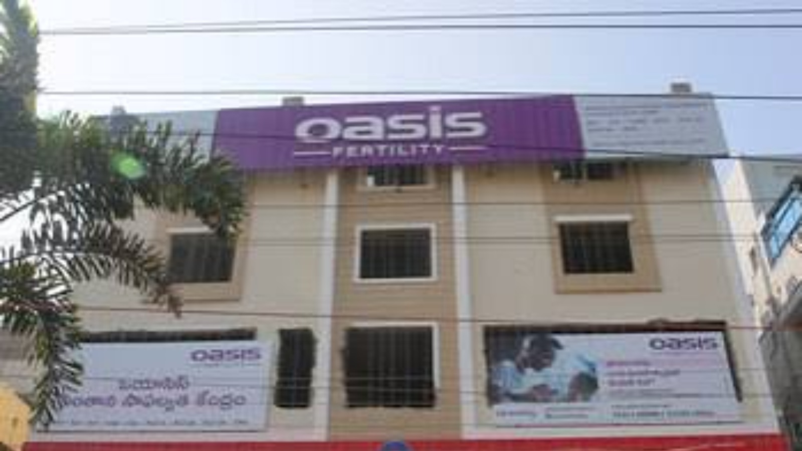 Oasis Fertility